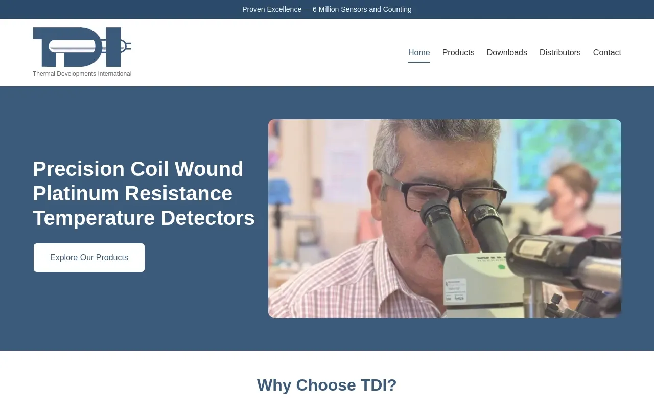 Screenshot of the Thermal Developments International website homepage
