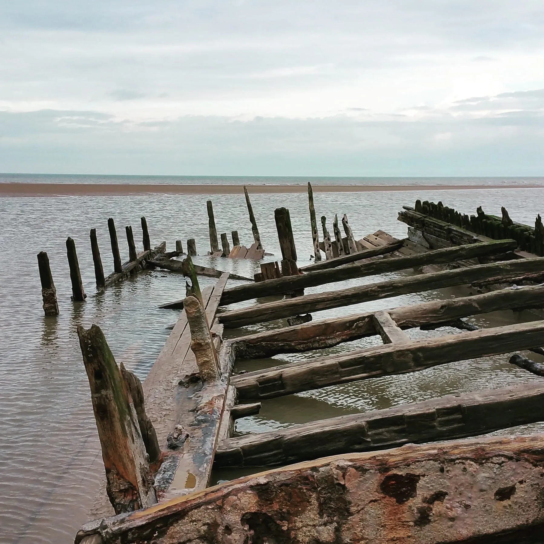 The weathered wooden ribs of an old shipwreck emerging from wet sand at low tide, under a pale overcast sky